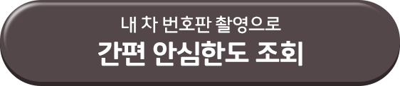번호판 촬영으로 간편 안심한도 조회